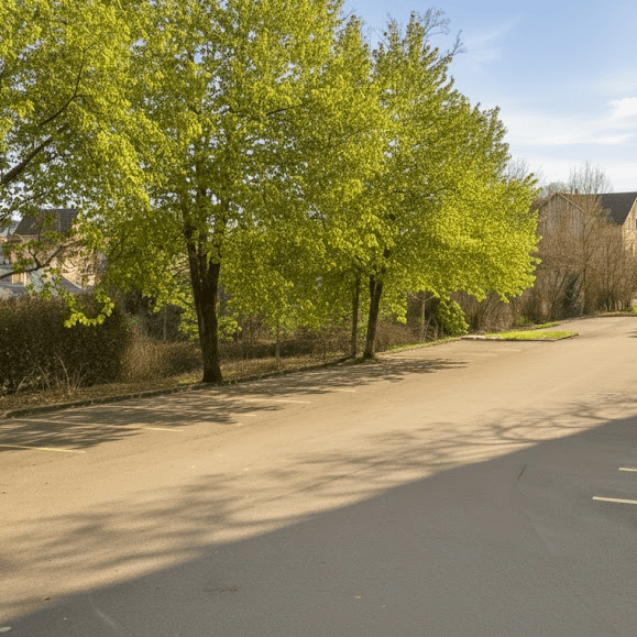 Parkplätze vor der Praxis